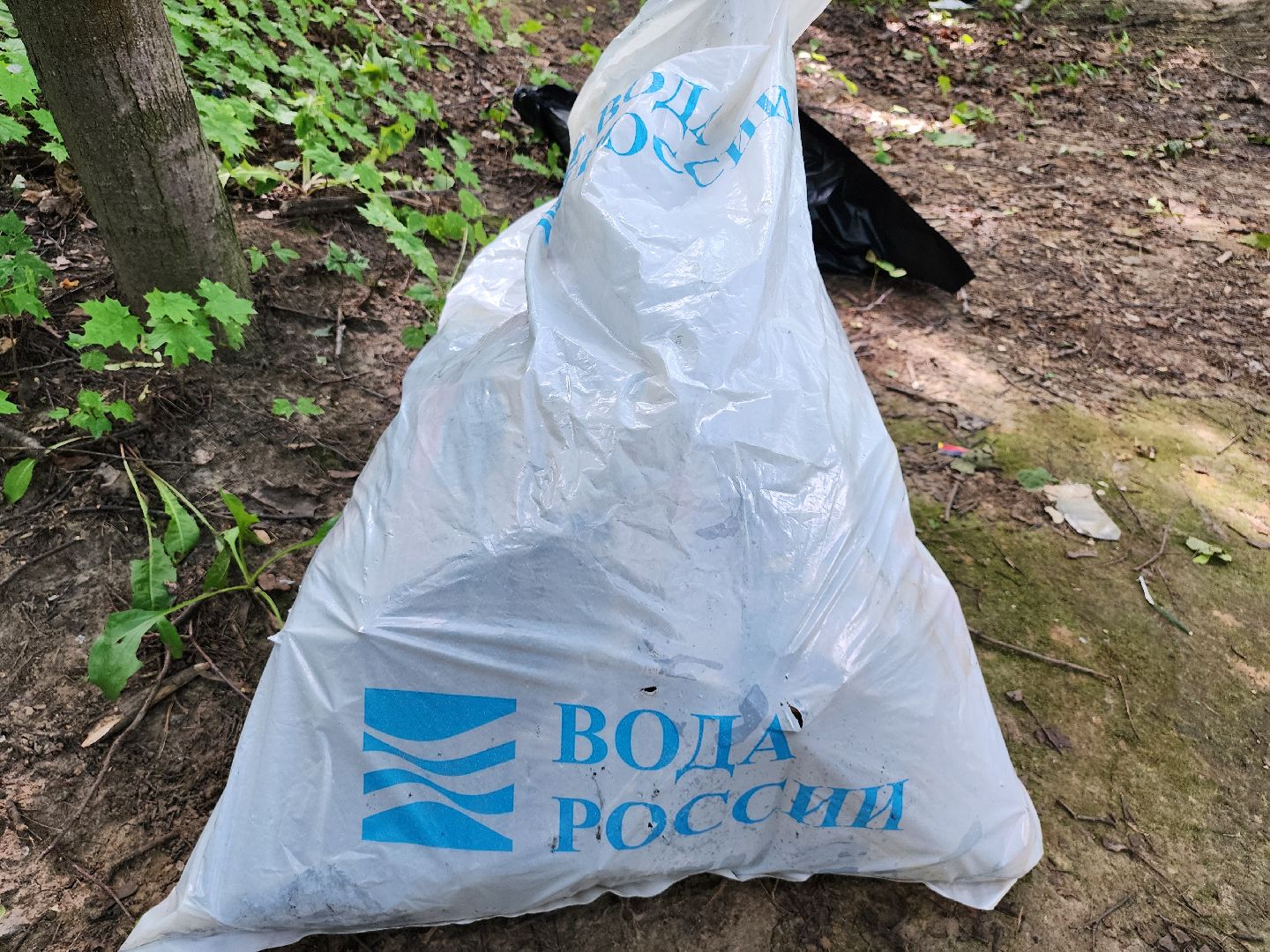 акция вода россии, экологическая акция, ленинский округ, экоакция, таболовский пруд,