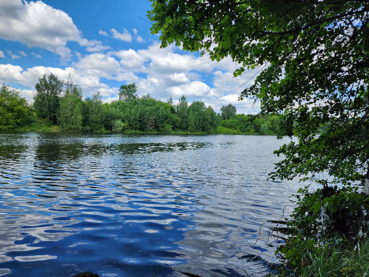 акция вода россии, экологическая акция, ленинский округ, экоакция, таболовский пруд,