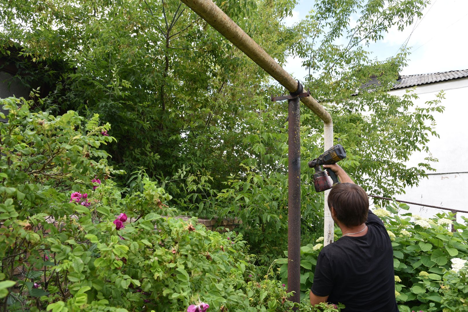 лотошино, благоустройство, дворовая территория,