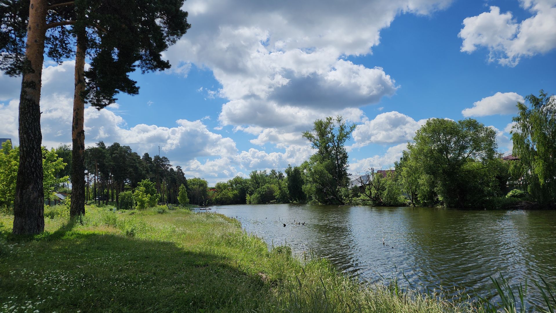 экология, Вода России, экологическая акция, Лосино-Петровский,