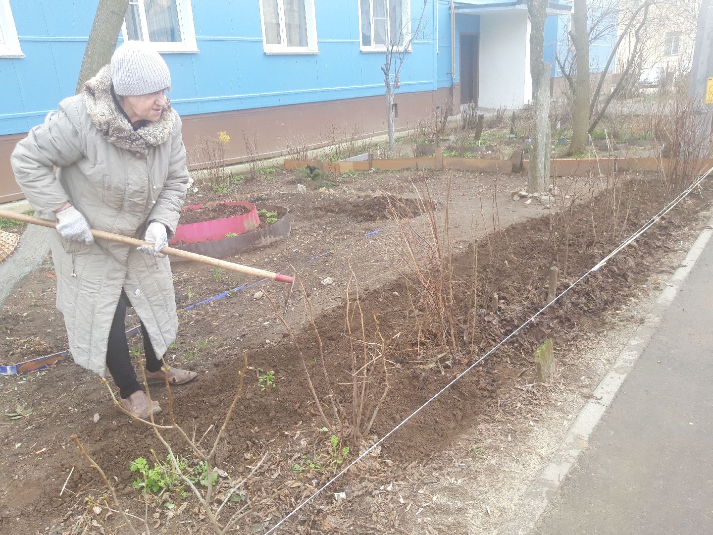 двор, доброе дело,