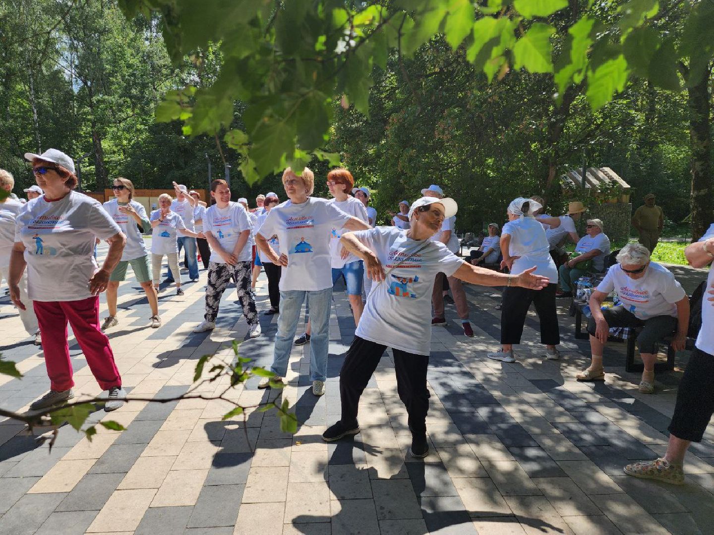 активное долголетие,зарядка долголетов, общеобластная зарядка, парк апаринки, видное, ленинский округ,