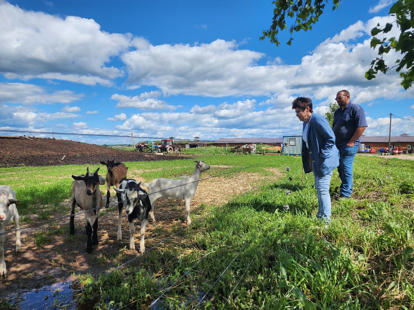 волоколамск, фермер, молоко,