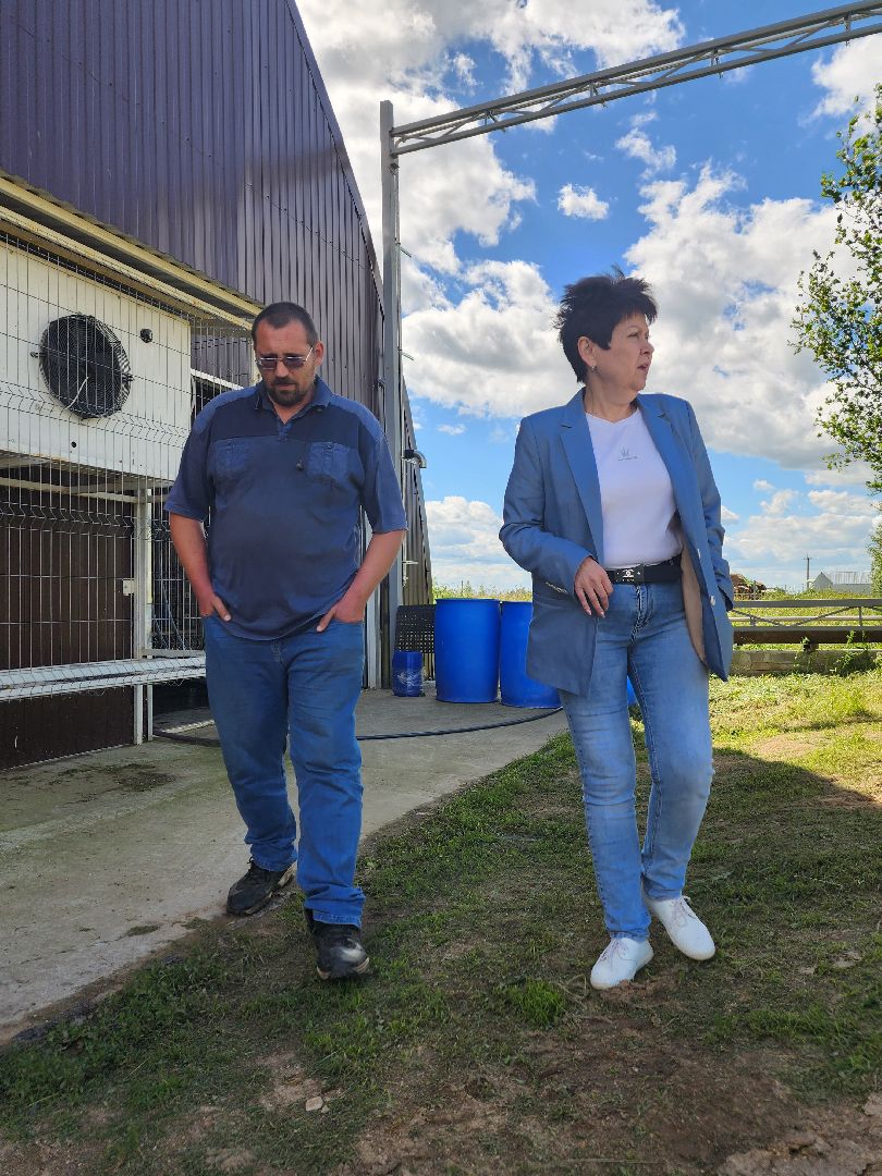 волоколамск, фермер, молоко,