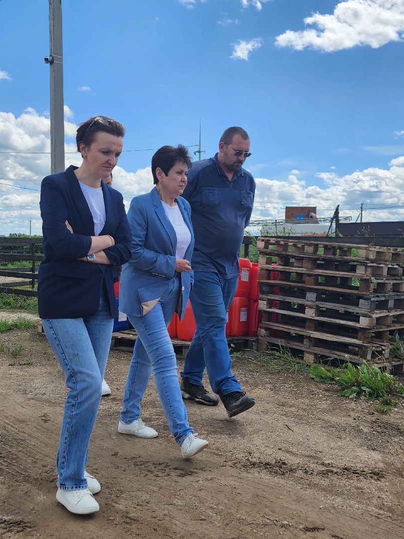 волоколамск, фермер, молоко,