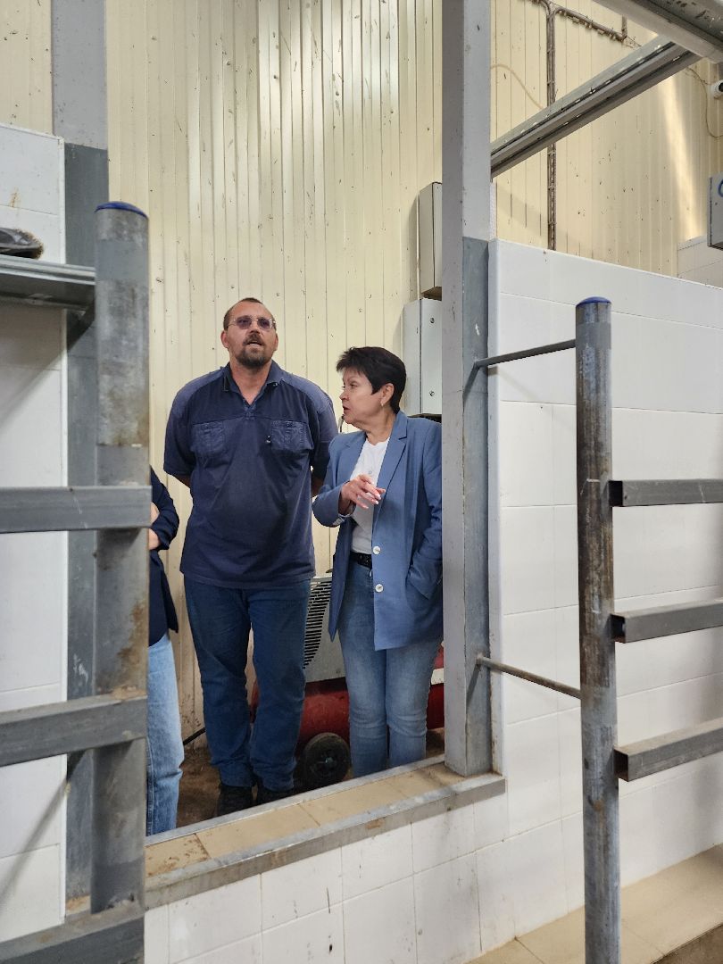 волоколамск, фермер, молоко,