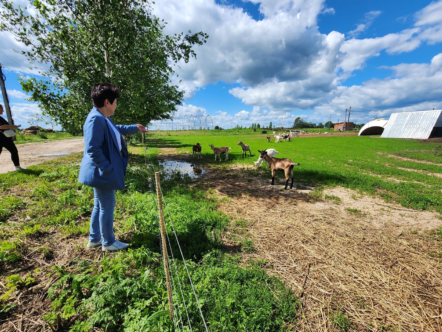 волоколамск, фермер, молоко,