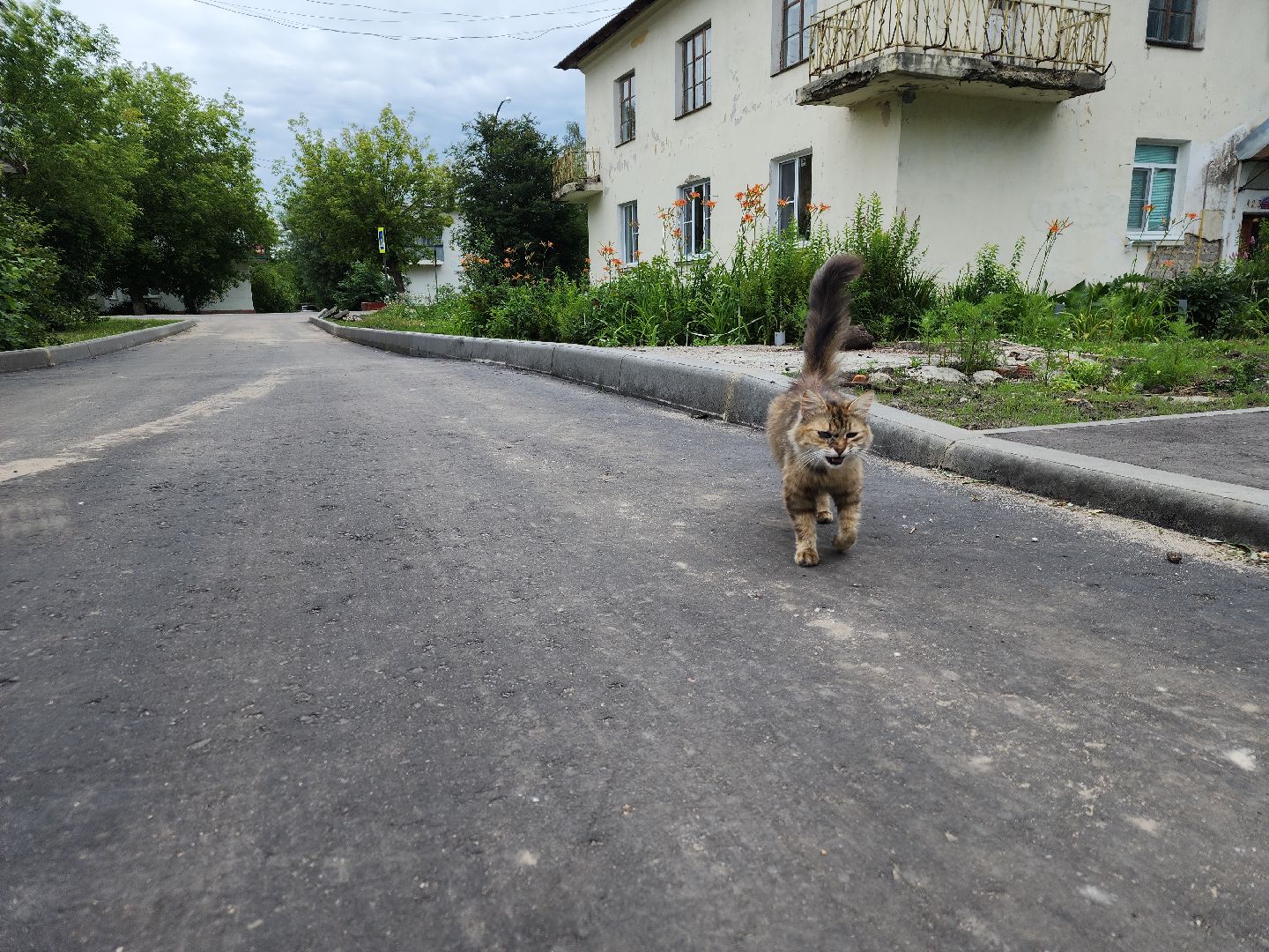 комплексное благоустройство, благоустройство дворов, орехово-зуевский округ,