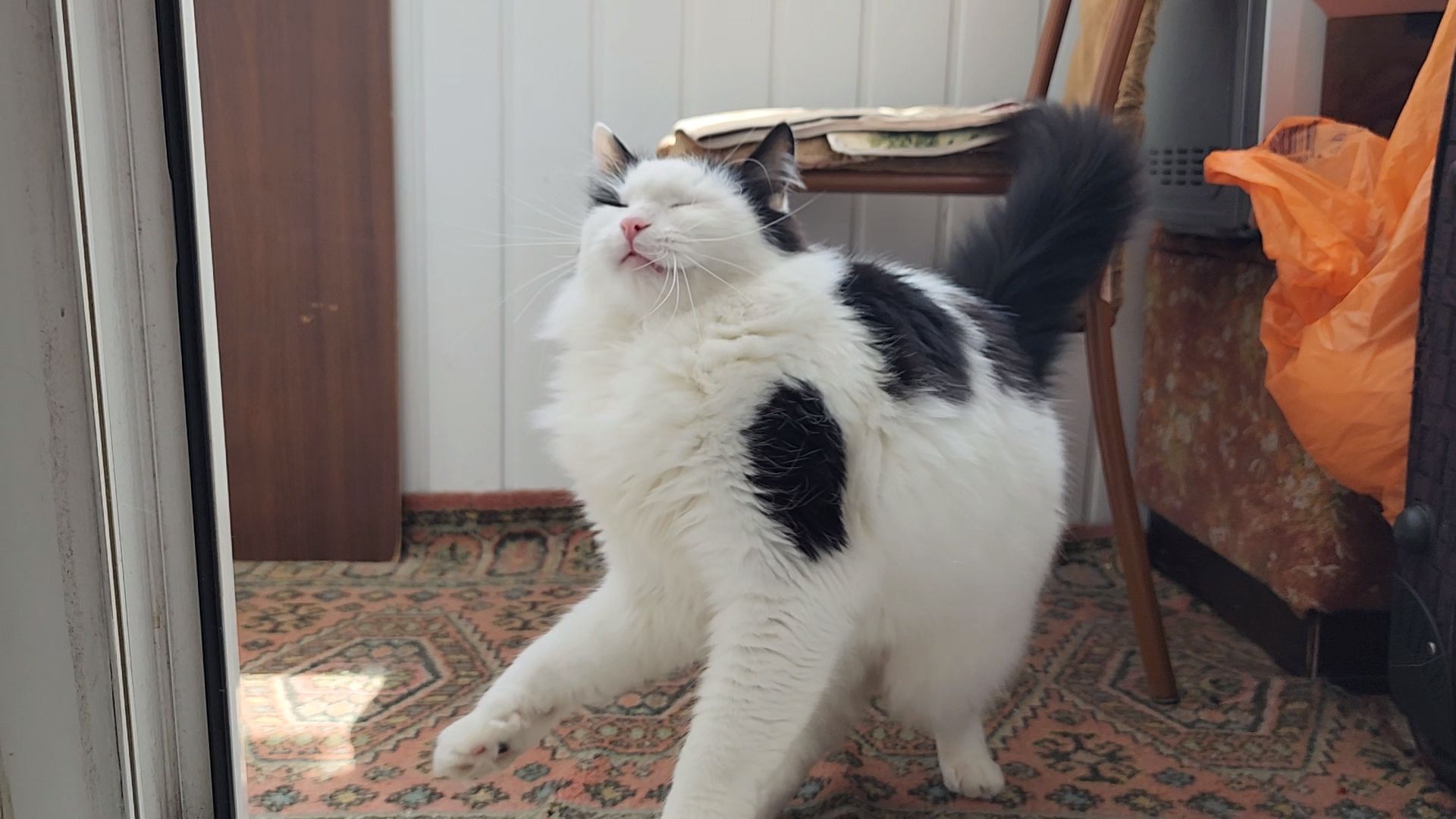 переселение из аварийного жилья, сертификат на жилье, аварийное жилье, Старая Купавна, Богородский городской округ,