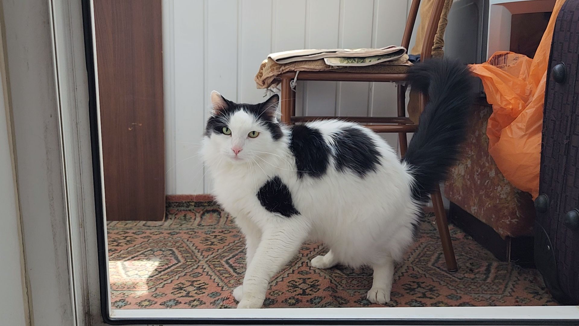 переселение из аварийного жилья, сертификат на жилье, аварийное жилье, Старая Купавна, Богородский городской округ,