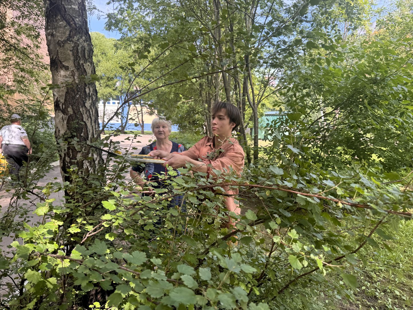 Одинцово, Трудовые бригады, Одинцовская гимназия 4, Образование,