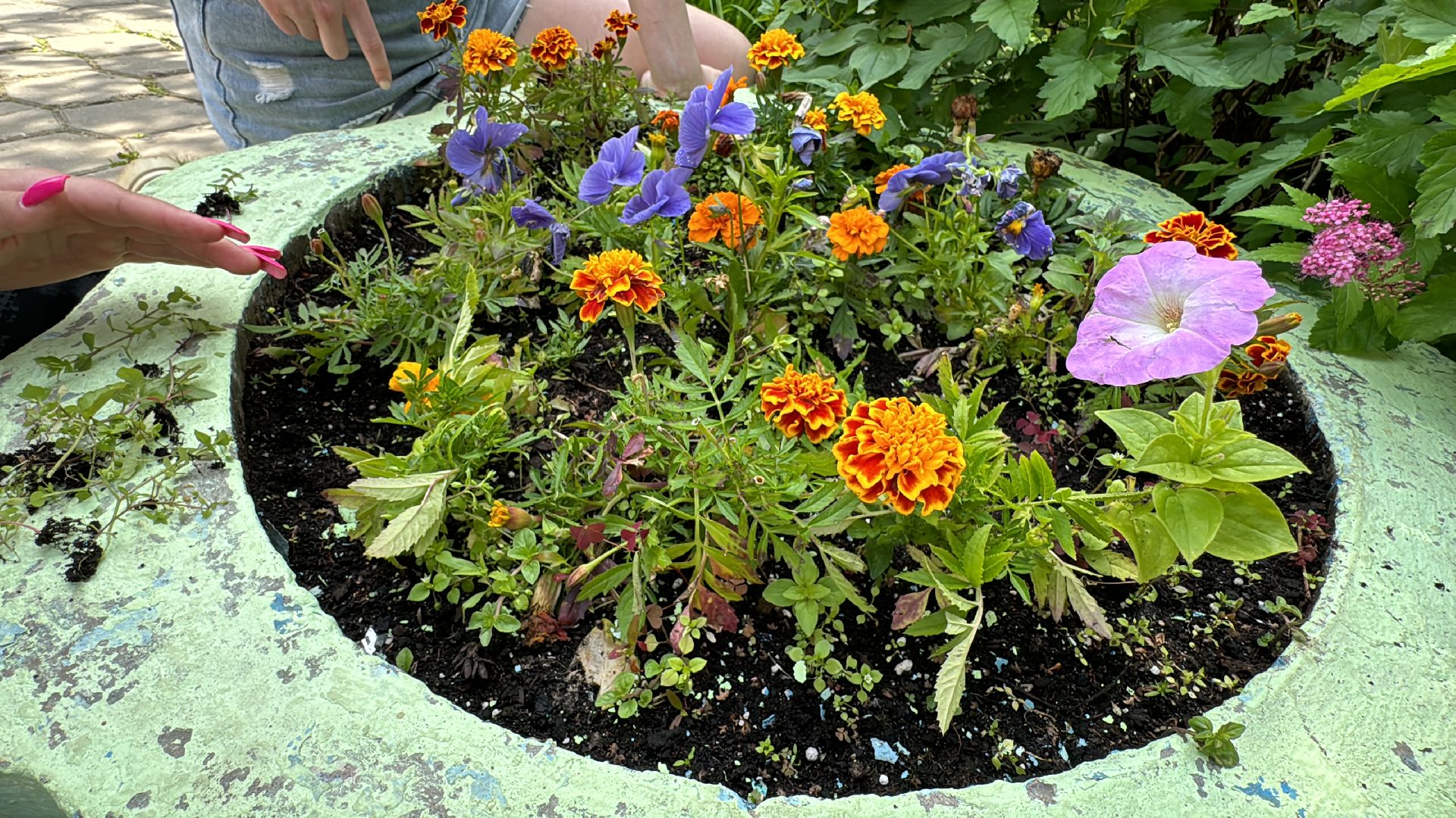 Одинцово, Трудовые бригады, Одинцовская гимназия 4, Образование,