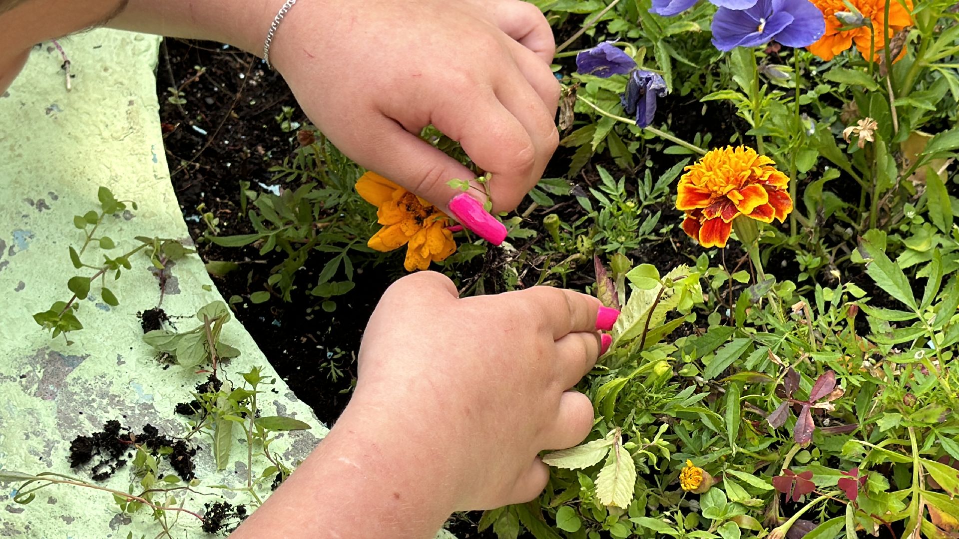 Одинцово, Трудовые бригады, Одинцовская гимназия 4, Образование,