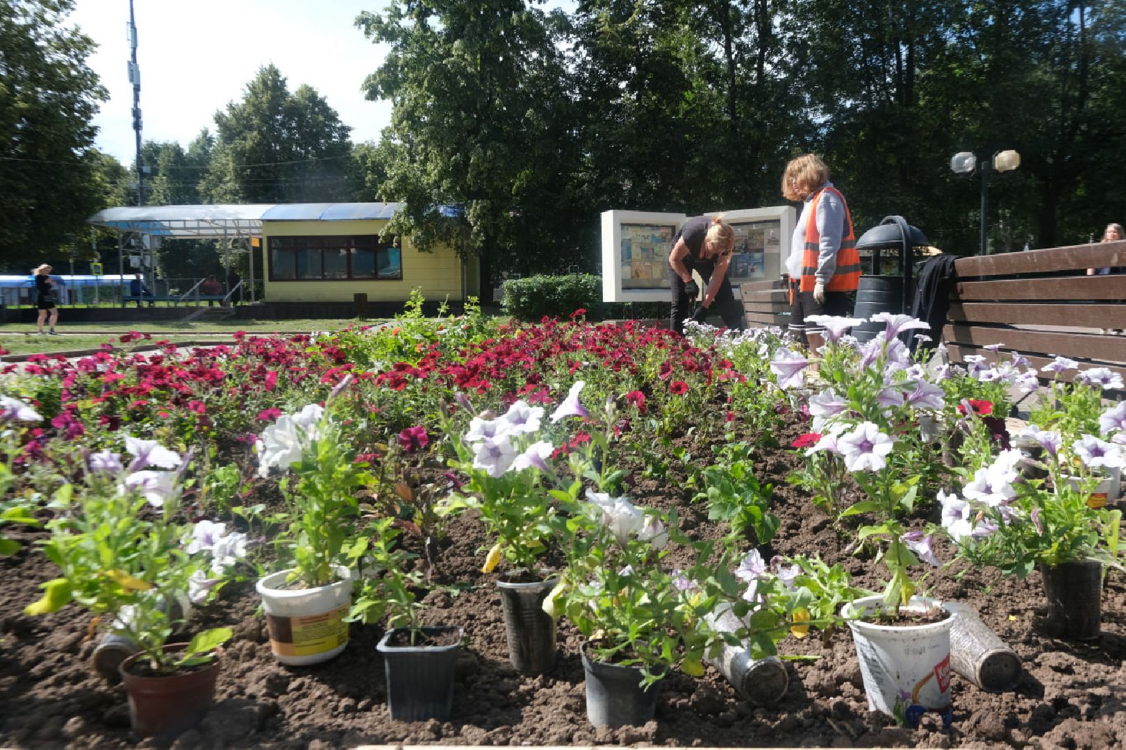 пущино, серпухов, благоустройство,