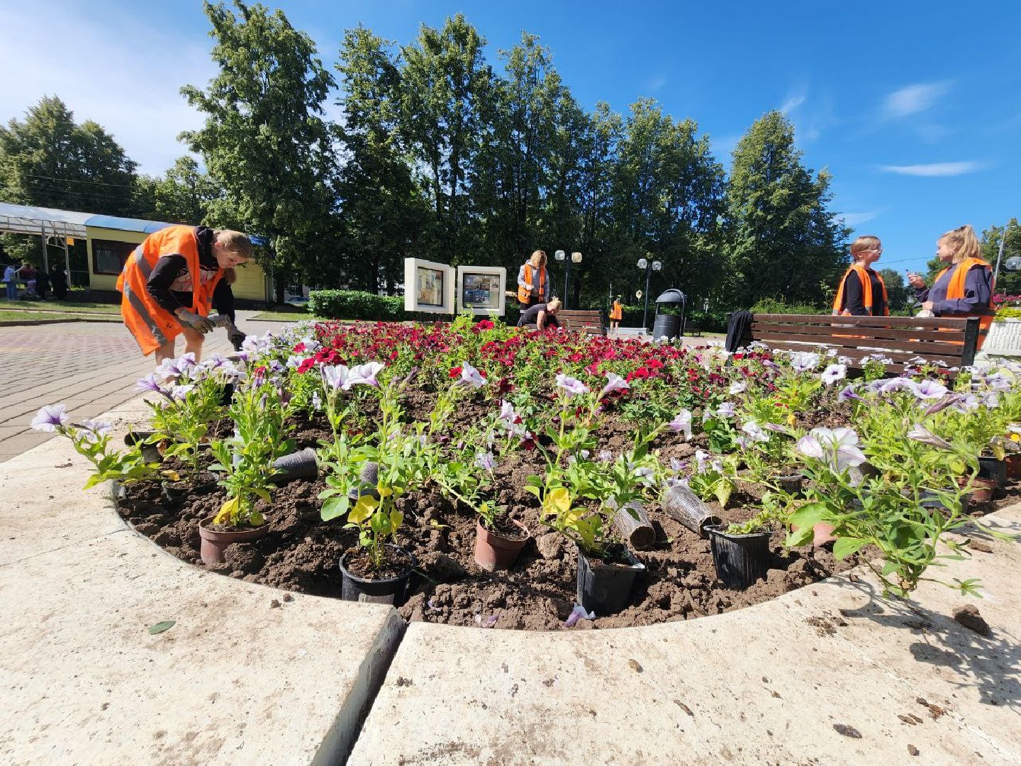 пущино, серпухов, благоустройство,