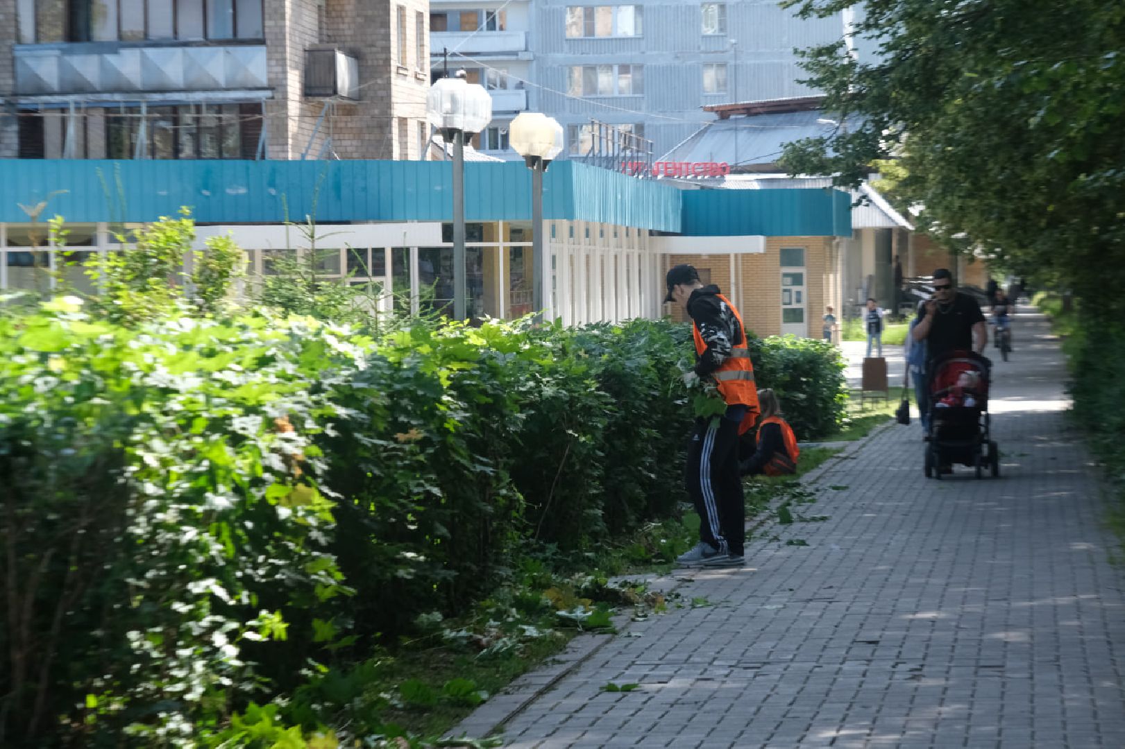 пущино, серпухов, благоустройство,