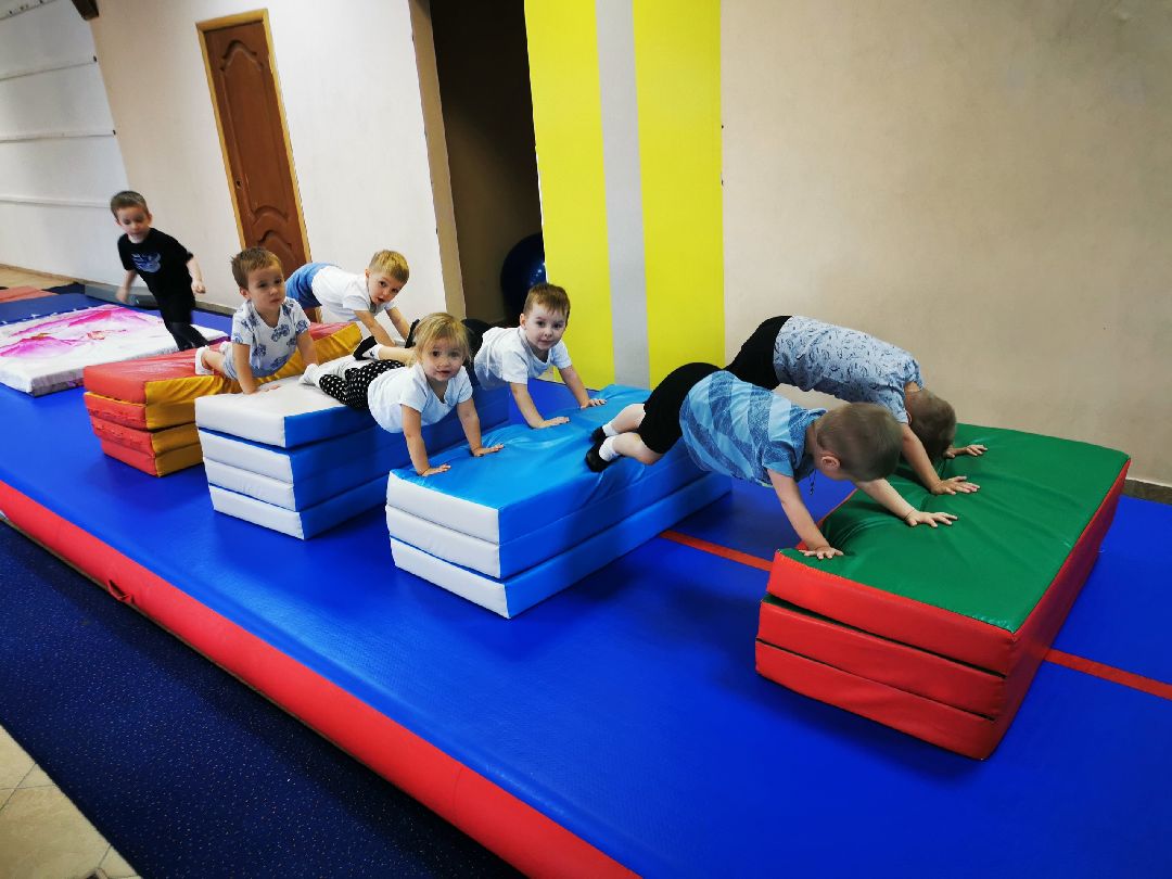 Дубна, общество