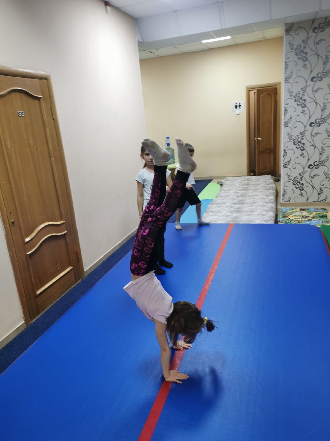 Дубна, общество