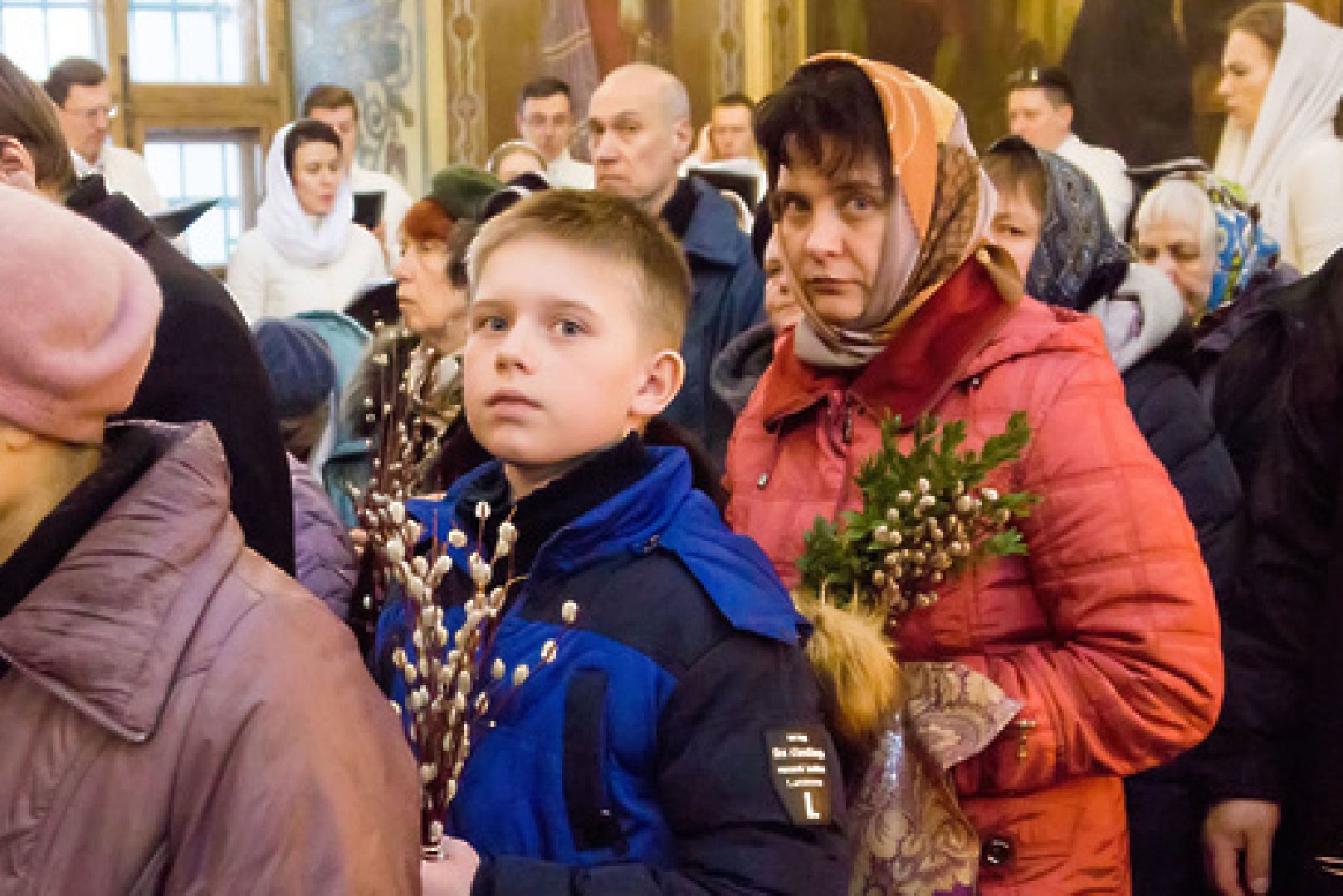 Подольск, верба