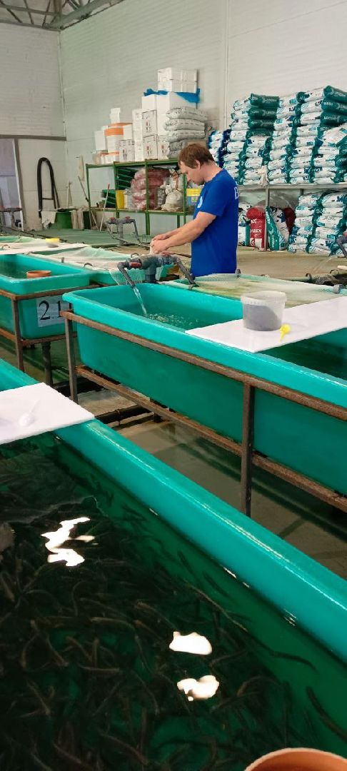 Дмитров, ВНИРО, ВНИИПРХ,