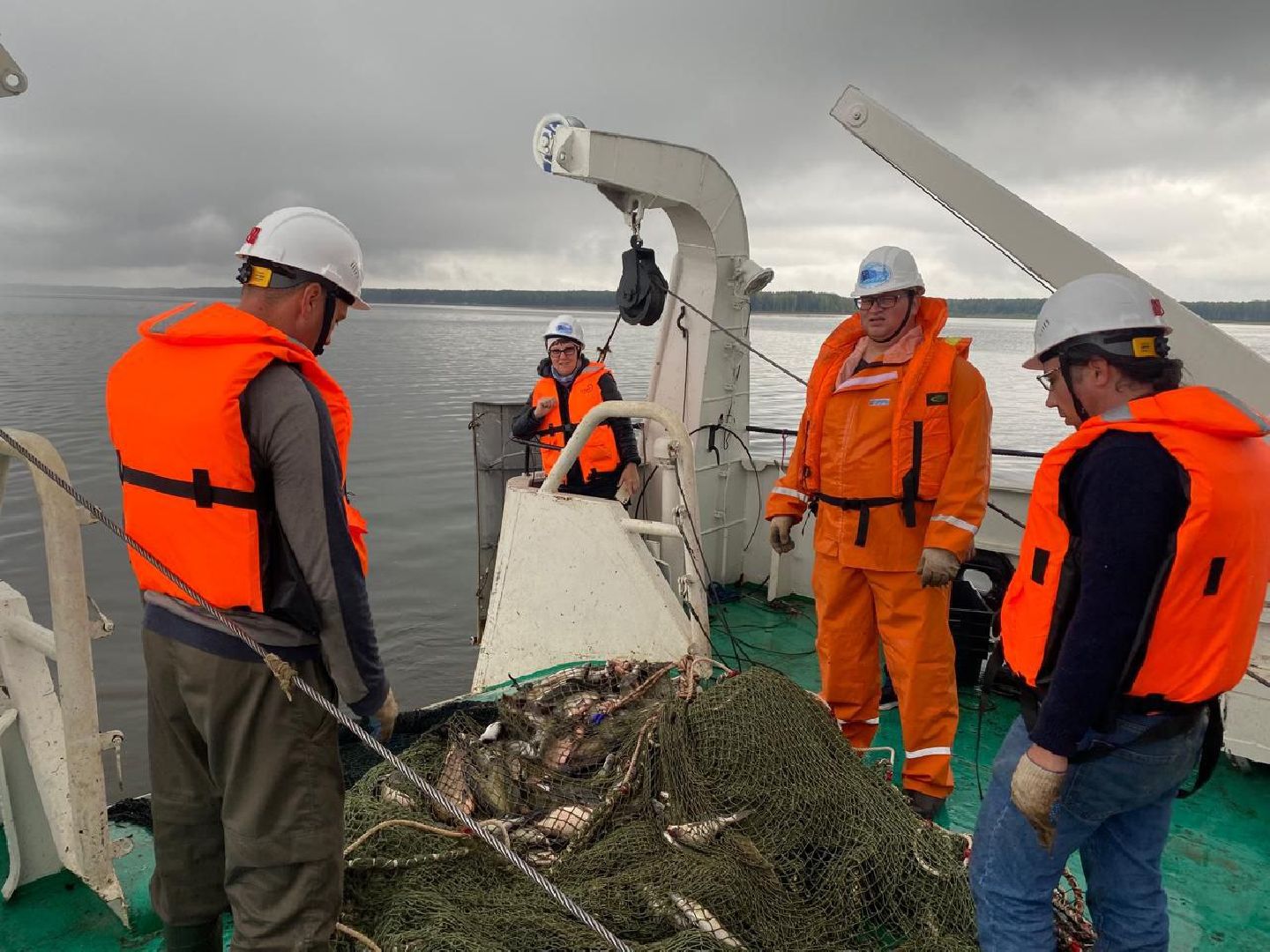 Дмитров, ВНИРО, ВНИИПРХ,