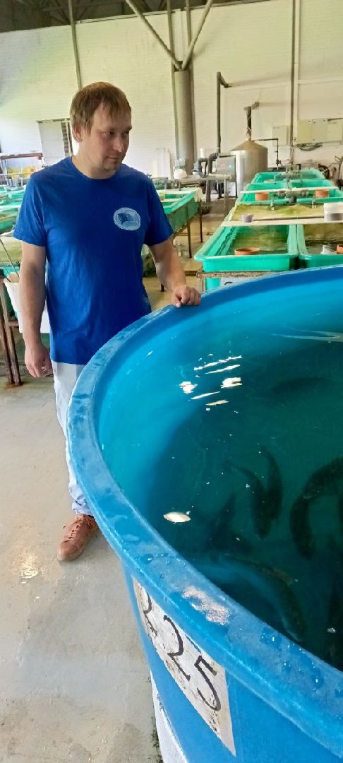 Дмитров, ВНИРО, ВНИИПРХ,