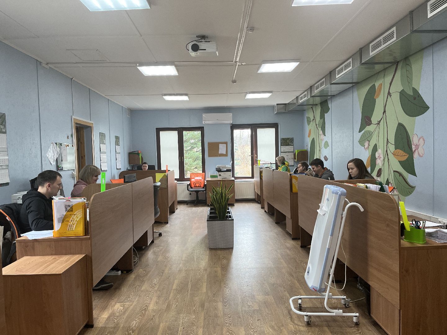 Шаховская, питомник, растения