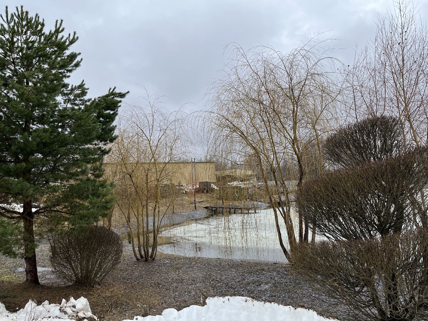 Шаховская, питомник, растения