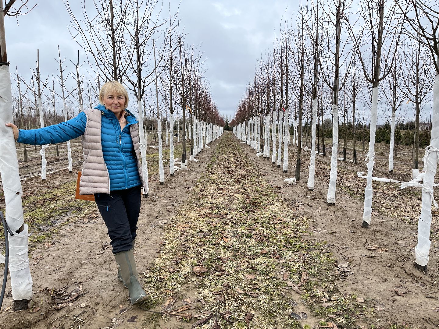 Шаховская, питомник, растения