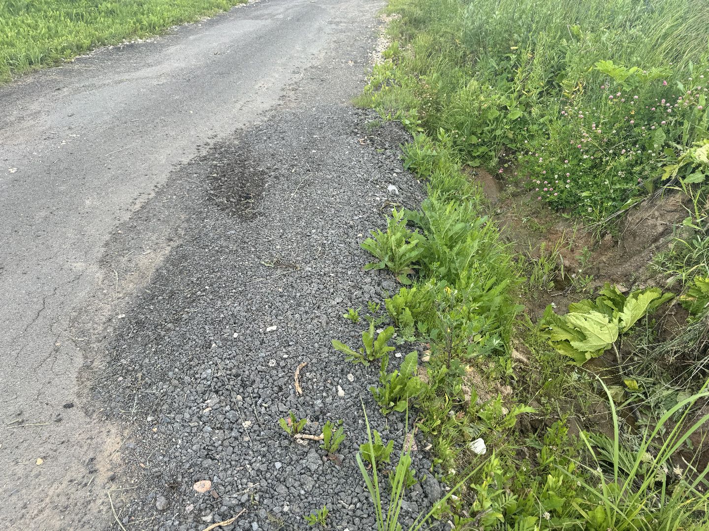 шаховская, выездная администрация, дороги, благоустройство,