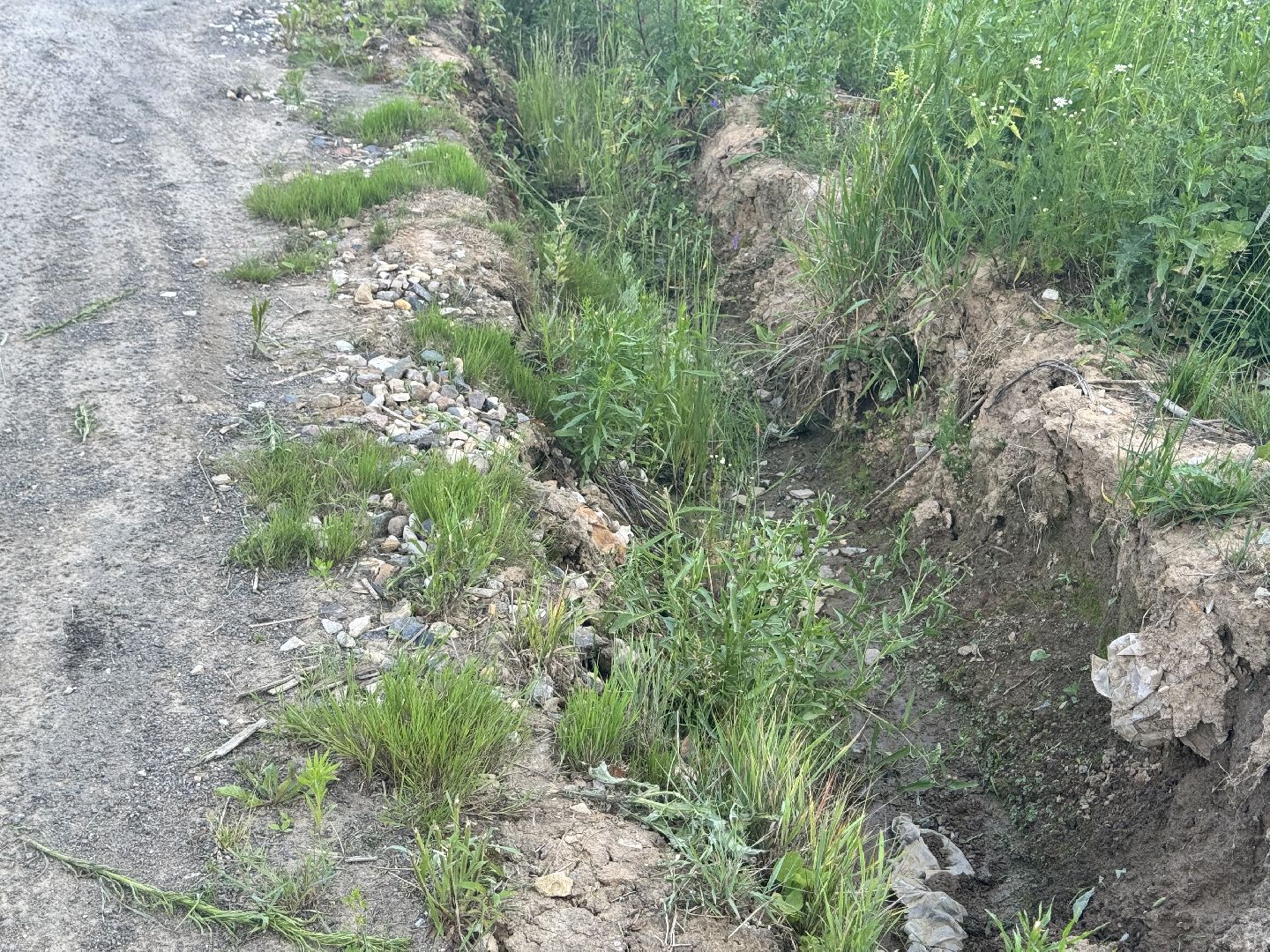 шаховская, выездная администрация, дороги, благоустройство,