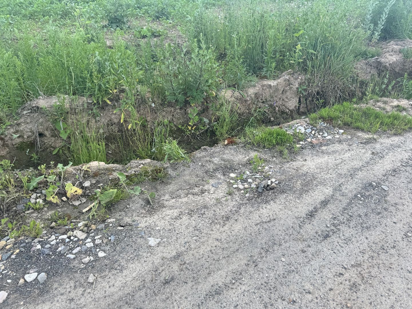 шаховская, выездная администрация, дороги, благоустройство,