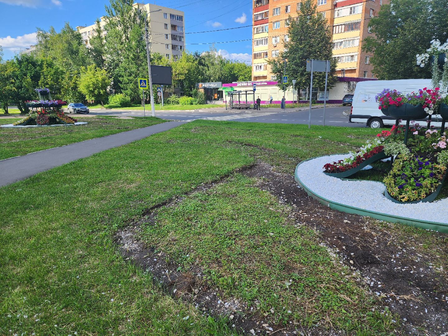 долгопрудный, владислав юдин, клумбы, кашпо, петуньи, дихондры,