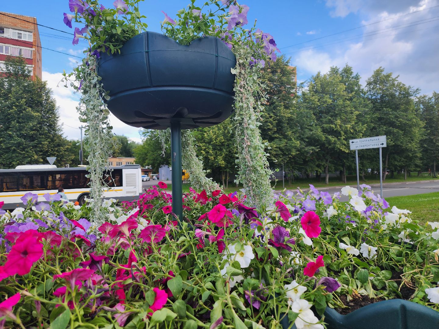 долгопрудный, владислав юдин, клумбы, кашпо, петуньи, дихондры,