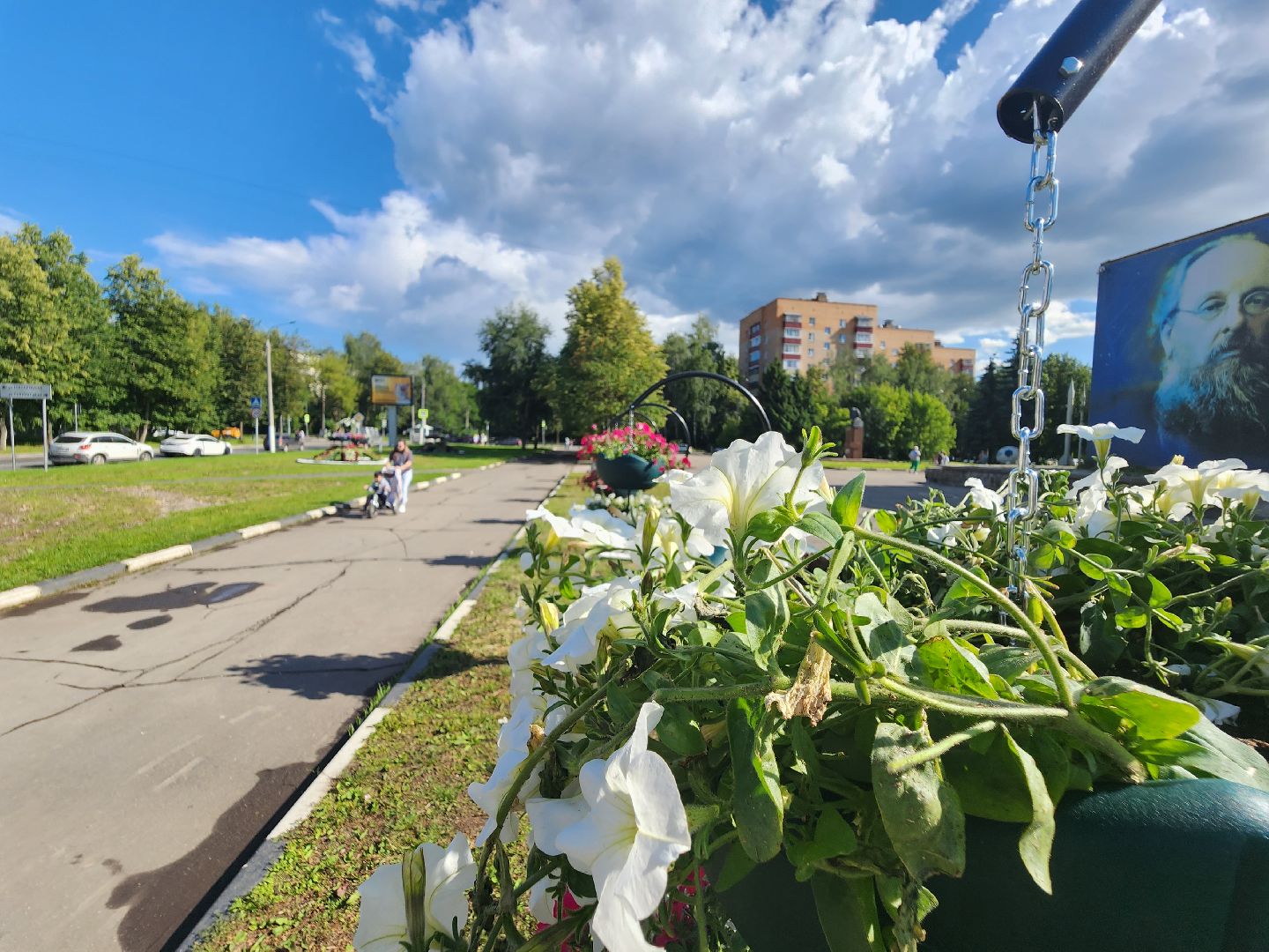 долгопрудный, владислав юдин, клумбы, кашпо, петуньи, дихондры,