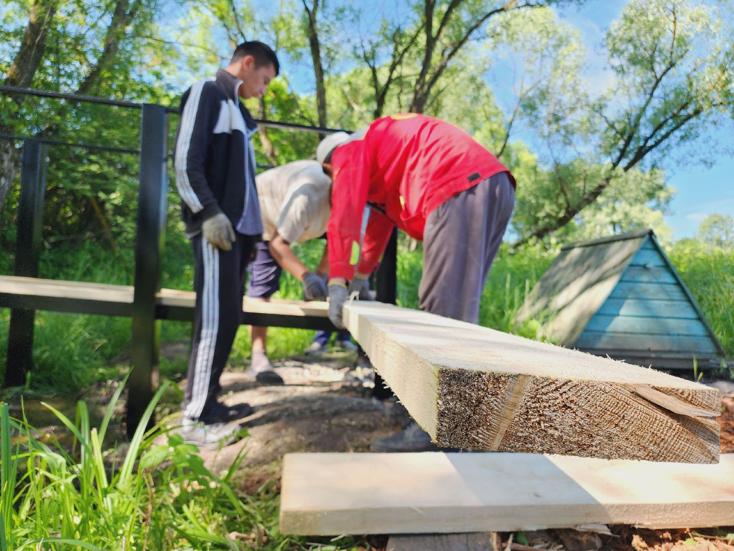 Егорьевск, Родник, Подмосковье, Московская область, Родионово,