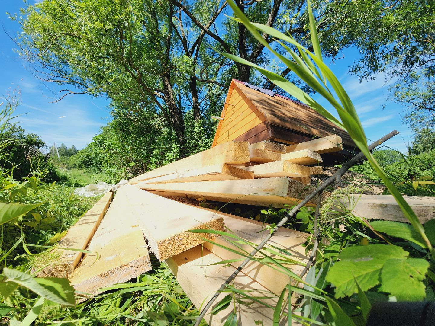Егорьевск, Родник, Подмосковье, Московская область, Родионово,