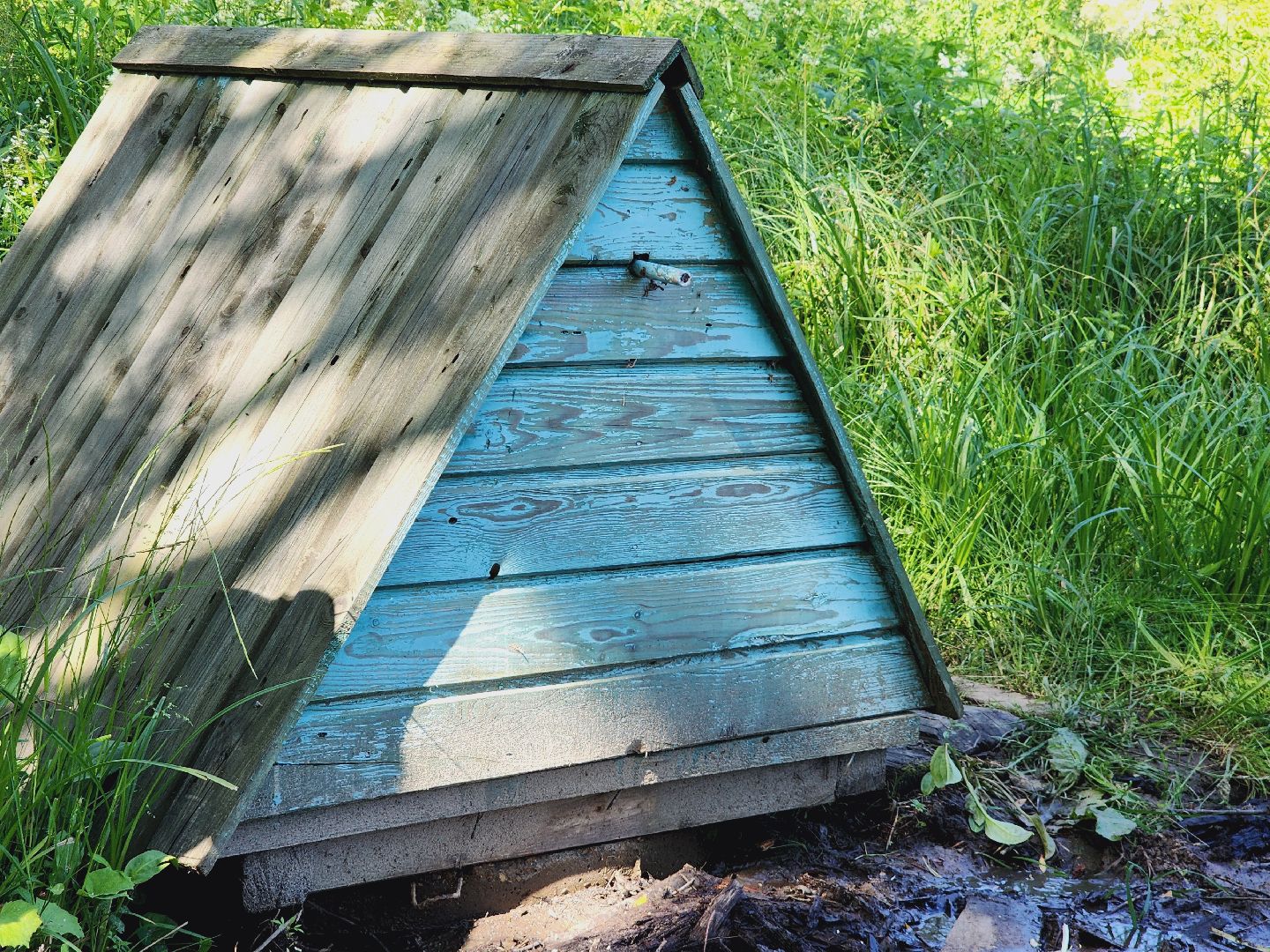 Егорьевск, Родник, Подмосковье, Московская область, Родионово,