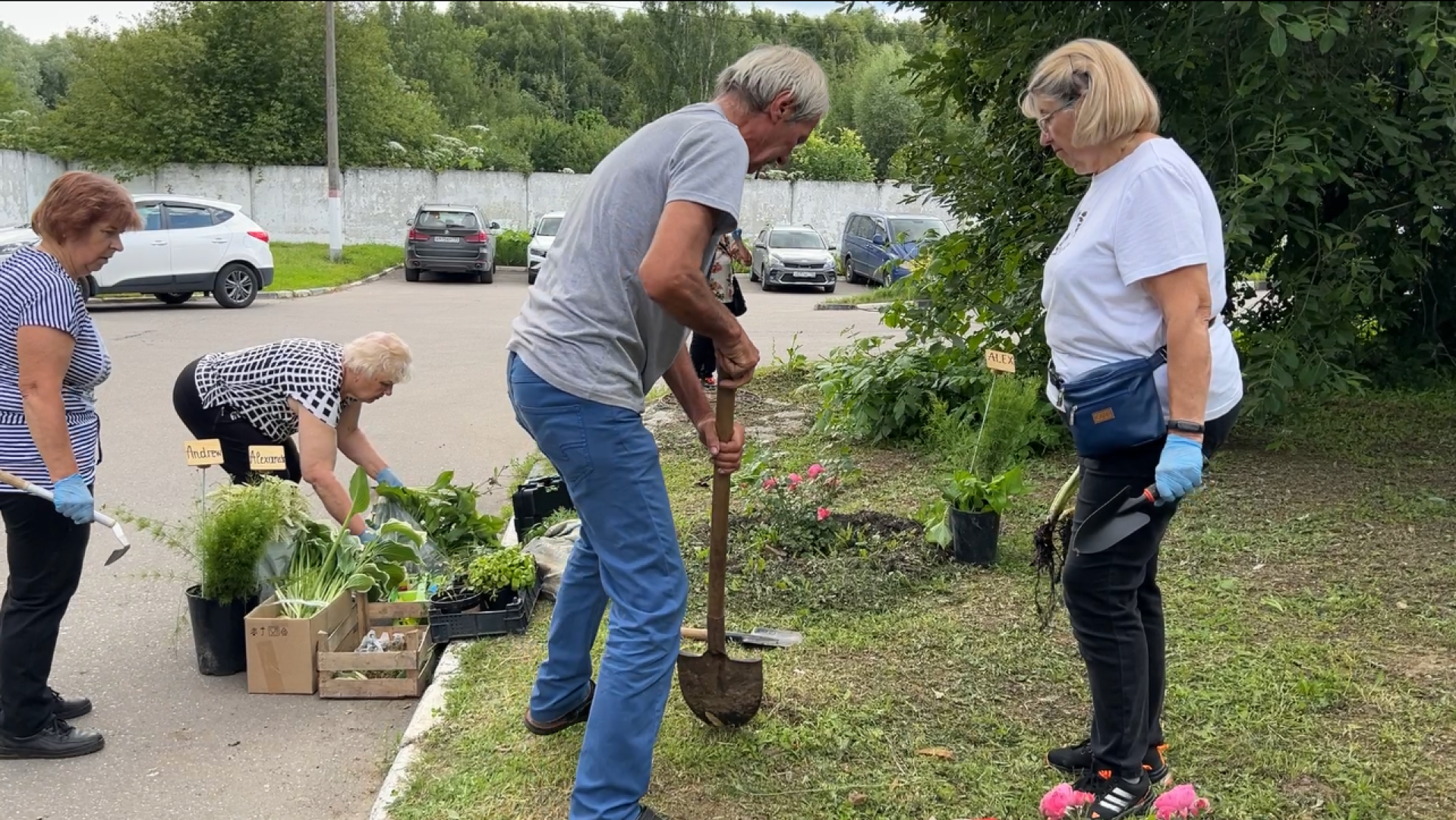 химки, благоустройство, больница, садоводство, клумбы,