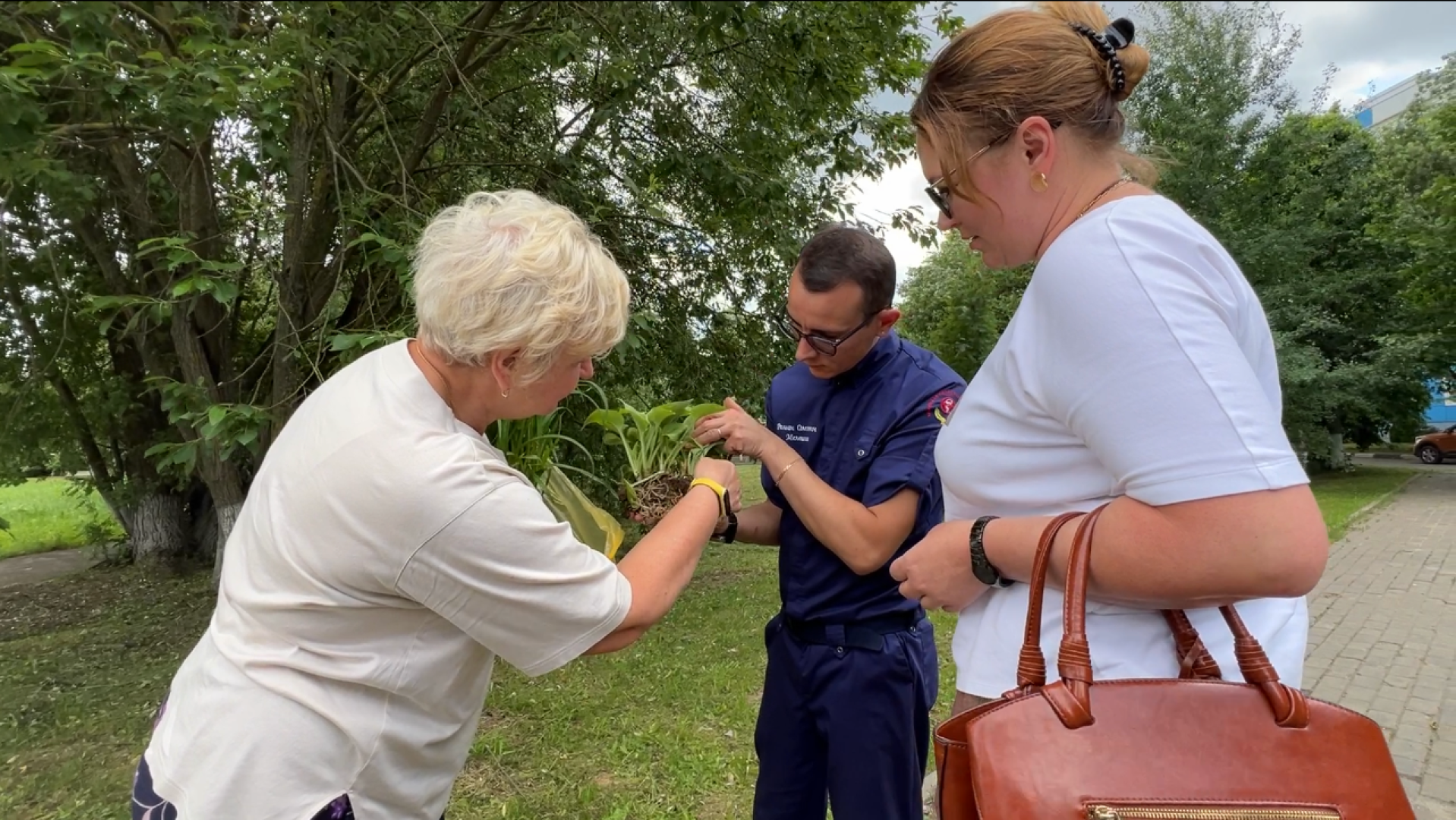 химки, благоустройство, больница, садоводство, клумбы,