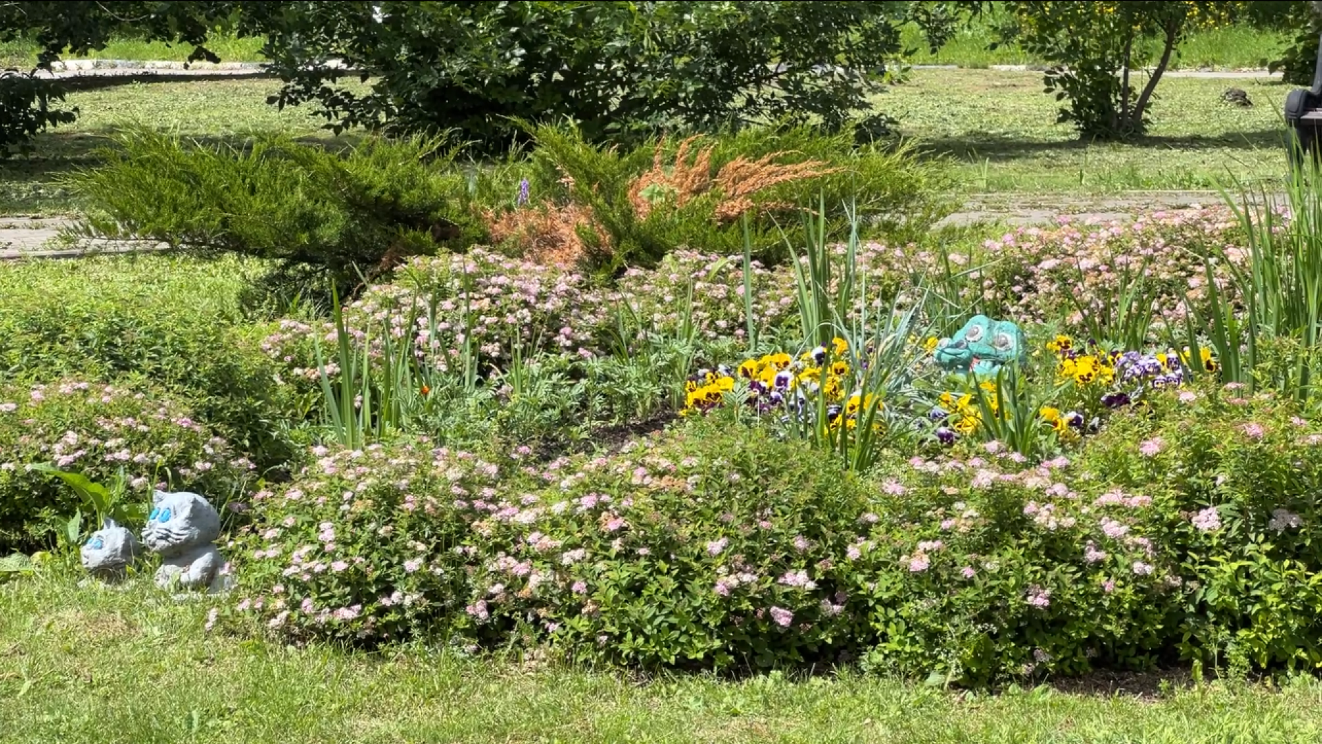 химки, благоустройство, больница, садоводство, клумбы,