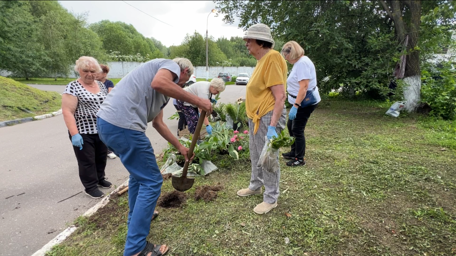 химки, благоустройство, больница, садоводство, клумбы,