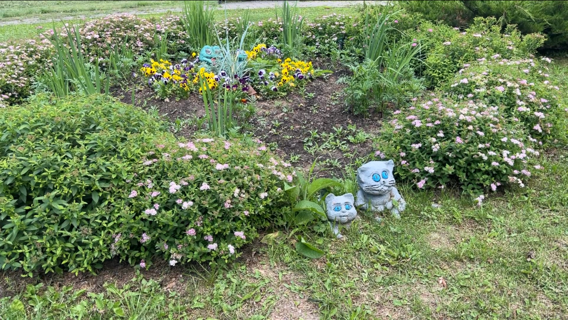 химки, благоустройство, больница, садоводство, клумбы,