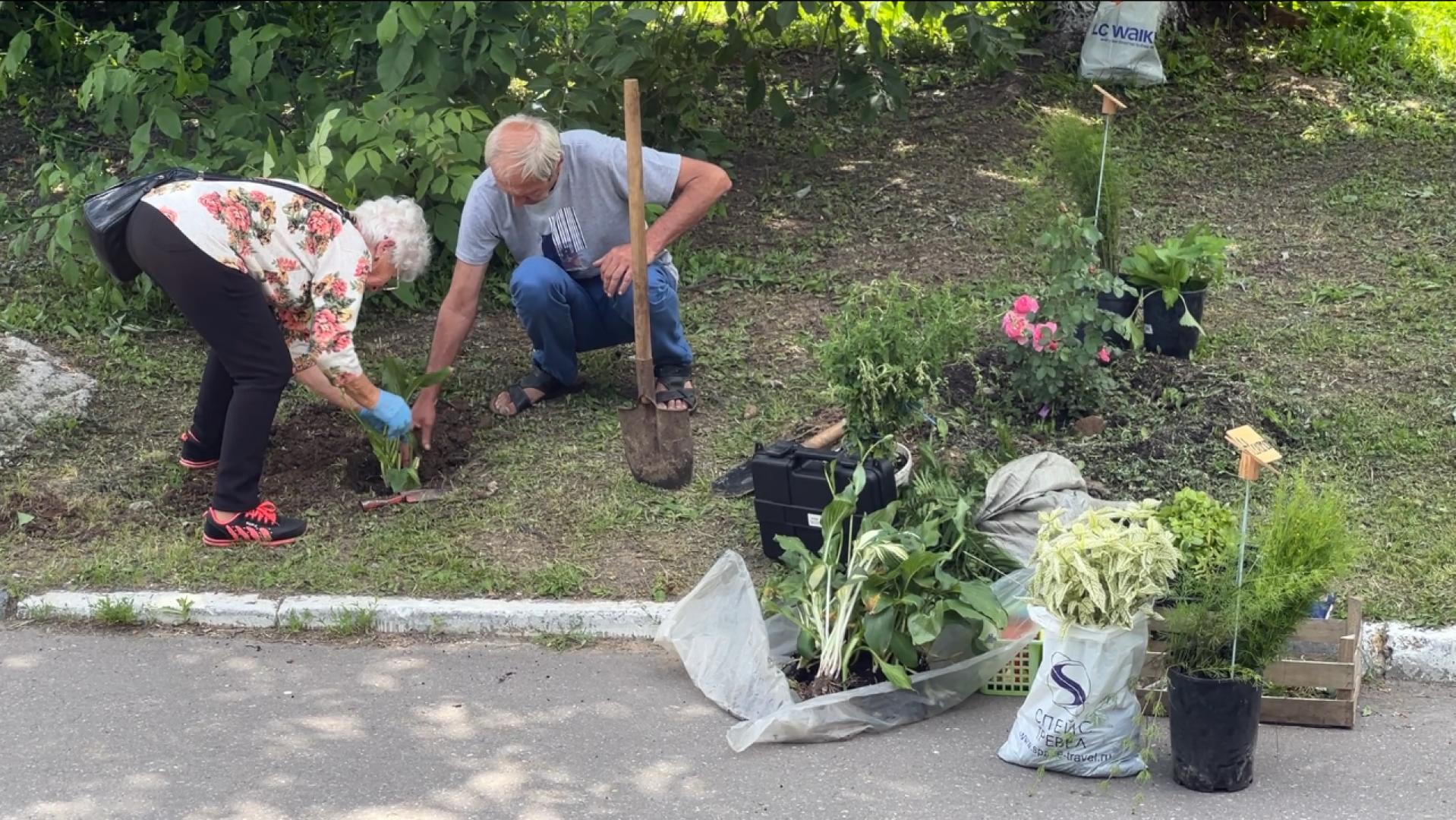 химки, благоустройство, больница, садоводство, клумбы,