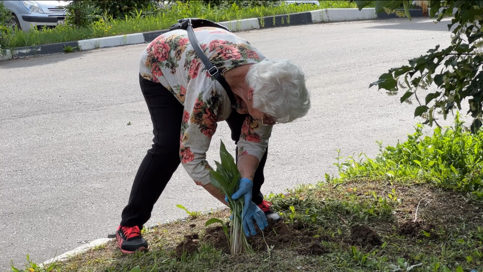 химки, благоустройство, больница, садоводство, клумбы,