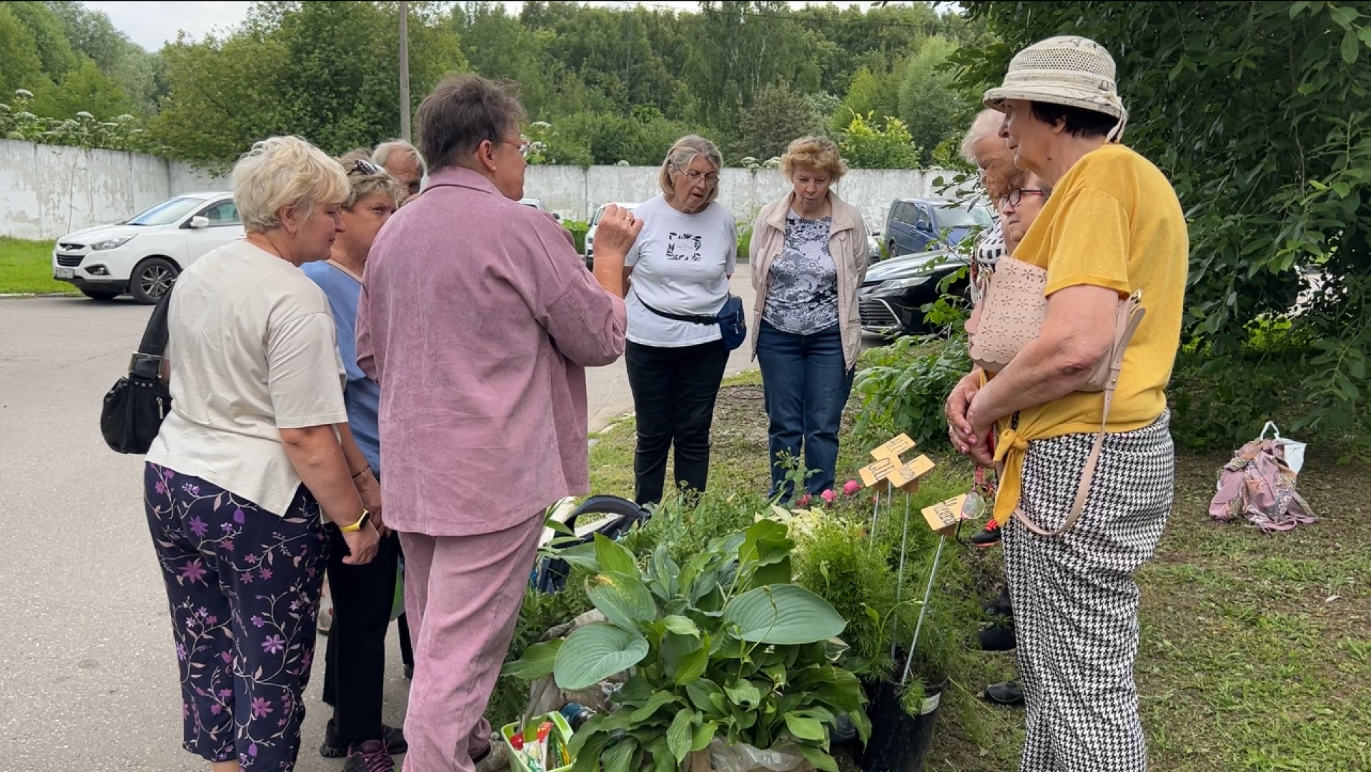 химки, благоустройство, больница, садоводство, клумбы,