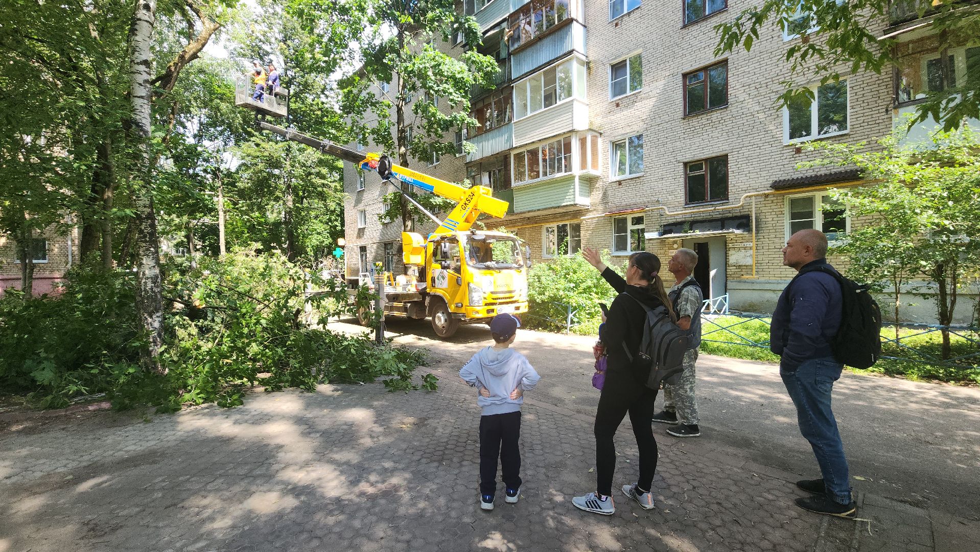 пушкино, благоустройство, удаление деревьев, обрезка деревьев,заявка жителей,