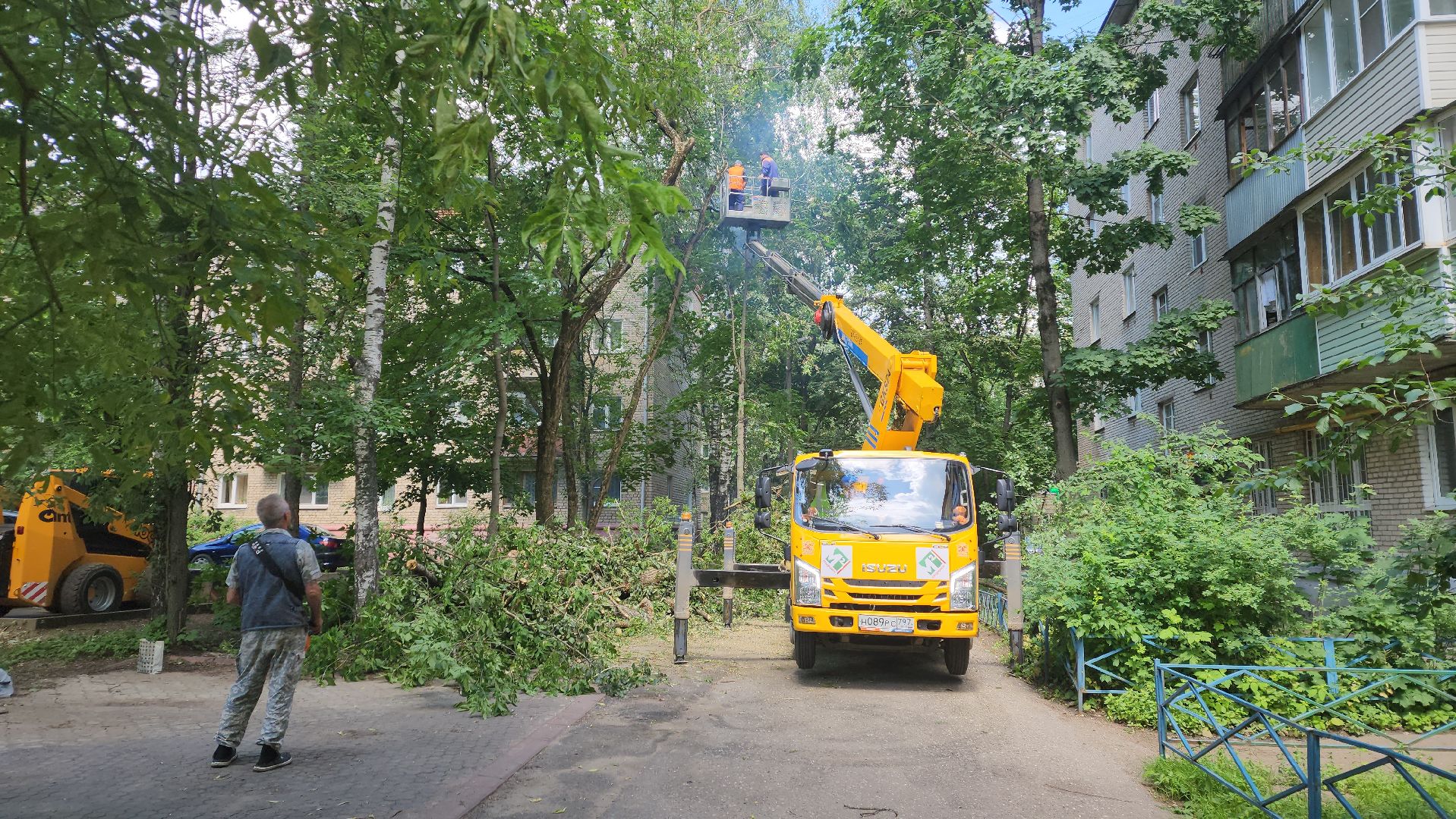 пушкино, благоустройство, удаление деревьев, обрезка деревьев,заявка жителей,