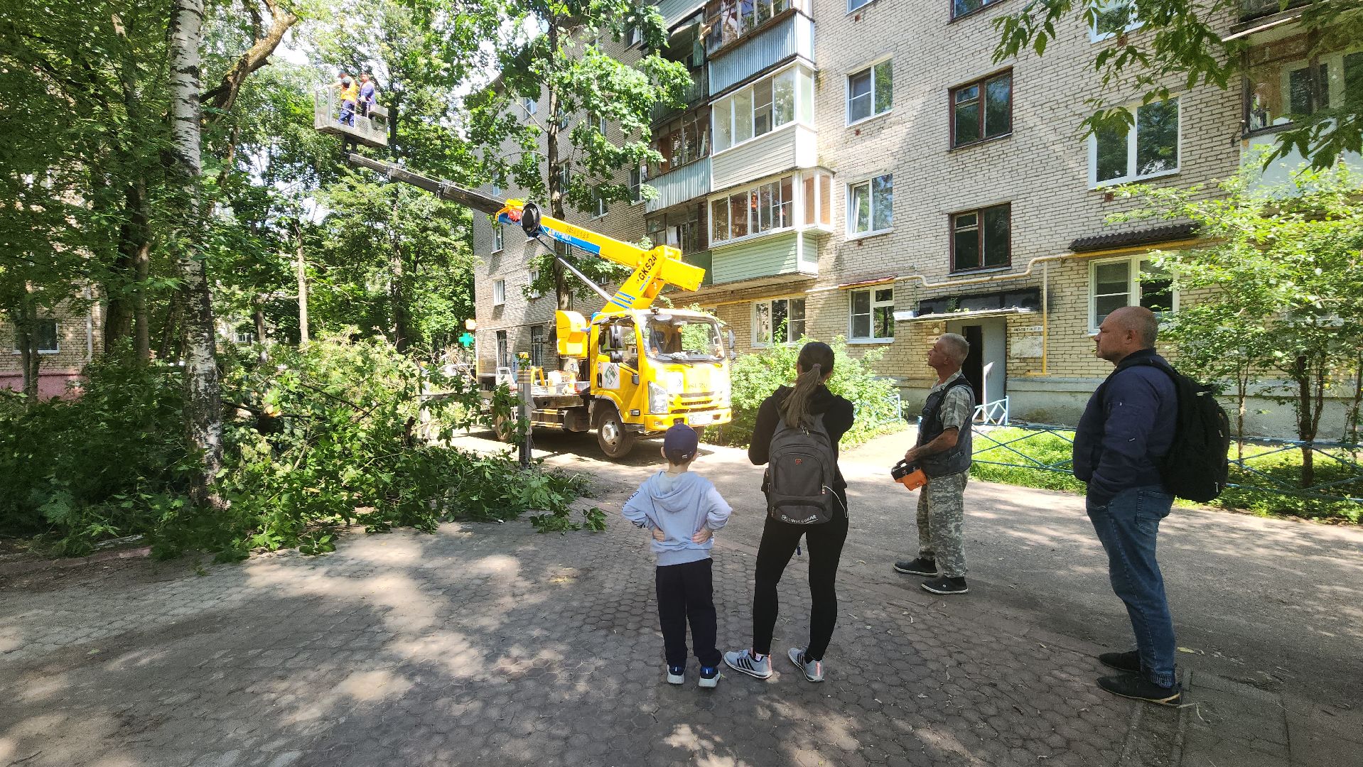 пушкино, благоустройство, удаление деревьев, обрезка деревьев,заявка жителей,