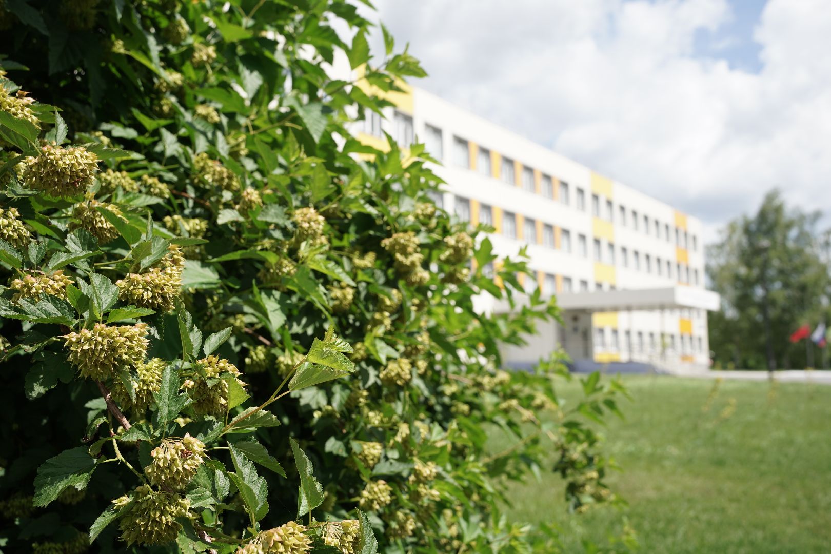 выпускники, выпускники 2024, многобалльники, Рошаль, школа 6, Большая Шатура,